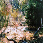 Woodman Point Quarantine Station