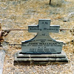 HALLIGAN John