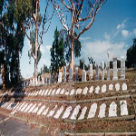 Bunbury Pioneer Cemetery headstones placed in the current cemetery - Photo Mrs Valda Cain (Date unknown) BUNBURY PIONEER CEMETERY