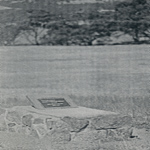 Mount Brown, Beaufort River