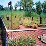 Wyndham Afghan Cemetery