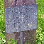 Suunness Charlotte Ann