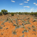 Yinnetharra grave 2 looking SE towards rubbish tip - Photo Geoff Blackburn (Aug 2013) Yin grave