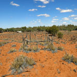 Yinnetharra grave 3 looking SE towards rubbish tip - Photo Geoff Blackburn (Aug 2013) Yin grave