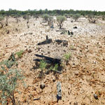 Thomas River UNNAMED Grave – Photo Geoff Blackburn (Aug 2013) Thomas River
