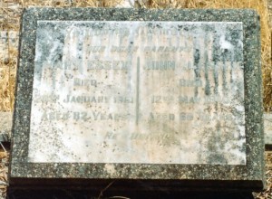 e-8-ESSEX Mary & John, buried Glentromie Cemetery.  Photo Brian Purdue (2007)_2