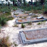 Fairbridge Farm Cemetery - Photo Ernie Trowbridge (Sept 1991) Fairbridge Farm Cemetery