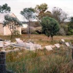 Dale, St Johns of the wilderness - Photo Kevin Coate (Oct 1992) Dale St Johns of the wilderness