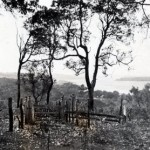 Augusta Pioneer Cemetery - Photo NAL Smith, Donnybrook (circa 1927-9) Augusta Pioneer Cemetery