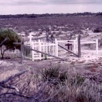 Israelite Bay Graves (FRANCIS) - Photo Kevin Coate (1975) Israelite Bay Graves