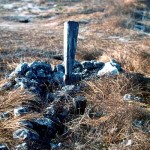 Ashmore Reef burial site - Photo Kevin Kenneally (1977) Ashmore Reef