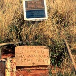 VINES Dr Edward Prince