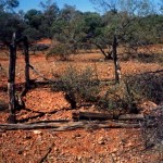 Morrissey Pool at Bangemall