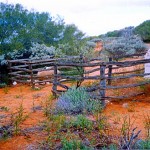 WALLGREEN Erik Johan