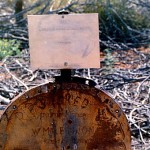 McLERNON John Vincent