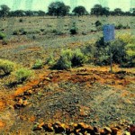 McMILLAN Ronald McDonald