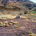 Bamboo Creek Cemetery