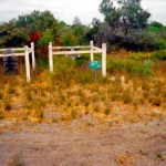 BRASS, Thomas & COOK, John