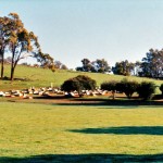 Marradong Churchyard - Photo Kevin Coate (Sept 1995) Marradong Churchyard