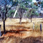 Yealering Pioneer Cemetery at Lake Yealering - Photo Kevin Coate (Nov 1995) Yealering Pioneer Cemetery