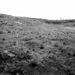 Fraser Range Station