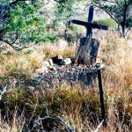 Glen Florrie Station Ashburton