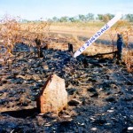 Gordon Downs Station