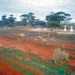 Cowcow Cemetery