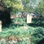 SUTTON, Family Burial Ground Mandurah - Photo Kevin Coate (Unknown date) SUTTON Family