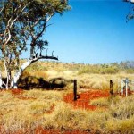 SWAN, James Died 10.10.1904 buried Mt Florence Station - Photo Kevin Coate (Oct 2002) SWAN James