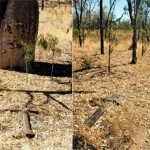 Gladstone Lake, Glenroy Station, Kimberley UNNAMED stockmans GRAVE - Photo Ian Elliot (July 1990) Gladstone Lake Glenroy Station Kimberley