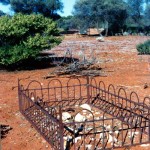 Goongarrie Cemetery UNNAMED GRAVE alongside that of Paddy Cushion - Photo Geoff Smith of Kalgoorlie (Sept 1989) Goongarrie Cemetery