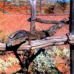 Horshoe near Peak Hill, Meekatharra District UNNAMED GRAVE - Photo Carolyn Gibson (2004) Horshoe near Peak Hill Meekatharra District