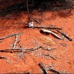 Kirkalocka Station UNNAMED GRAVE in Coolarda Paddock - Photo Kevin Coate (April 2010) Kirkalocka Station
