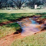 Diorite King Cemetery Kurrajong