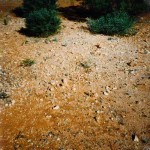 Goongarrie Cemetery UNNAMED GRAVES - Photo Andrea Lewis & Jill Heather, Leonora (Date unknown) Goongarrie Cemetery