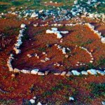 Meekatharra UNNAMED prospectors GRAVES east of Meekatharra - Photo by Michael Turkovic (Aug 1980) Meekatharra