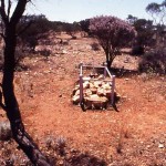 Mt Magnet UNNAMED GRAVE (Mother & child) - Photo Kevin Coate (Date unknown) Mt Magnet