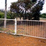 Munglinup Cemetery (4 burials) - Photo Kevin Coate (Oct 2001) Munglinup Cemetery