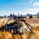 Murrin Murrin UNNAMED GRAVE at Little Battery Group, Minara Station - Photo Andrea Lewis (1995) Murrin Murrin