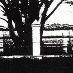 Narrogin UNNAMED GRAVE - Photo Western Mail (27 Oct 1938) Narrogin