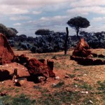 Yundamindra Cemetery UNNAMED GRAVES - Photo P Smith, Clackline (1994) Yundamindra Cemetery
